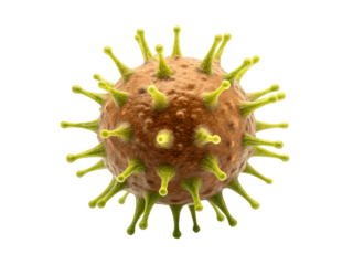 Virus cell isolated on transparent background