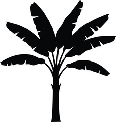 Stylized banana tree silhouette tropical graphic design element isolated vector