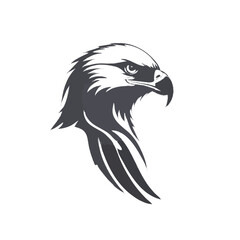 eagle vector illustration