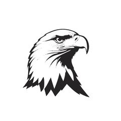 eagle vector illustration