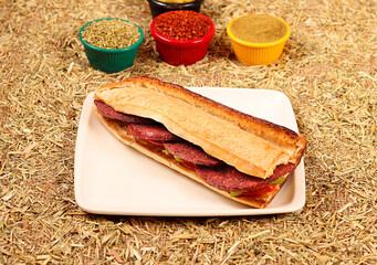 a delicious sandwich with sausage, vegetables, peppers and spices,close up view