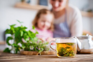 Fresh Herbal Tea with Mint Leaves and Family in Cozy Kitchen Setting.