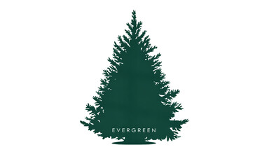 Obraz premium - Minimal Christmas Tree Silhouette with Clean Shadows