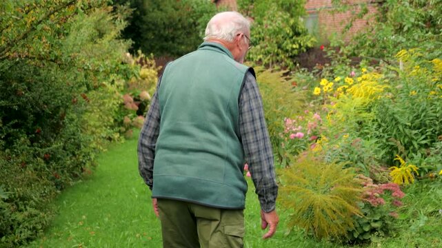 Elderly man in glasses slowly walking grouch a park enjoying retirement
