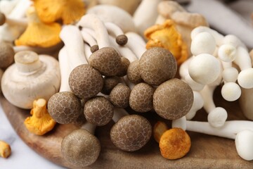 Different raw mushrooms on light table, closeup