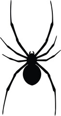 Spooky silhouette spider hangs on web halloween horror insect macro vector