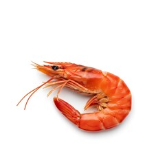 boiled shrimps on white background