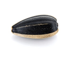 Single sunflower seed, close-up