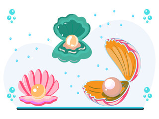 Clam Concept Illustration Vector Style