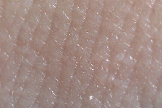 Macro view of human skin as background