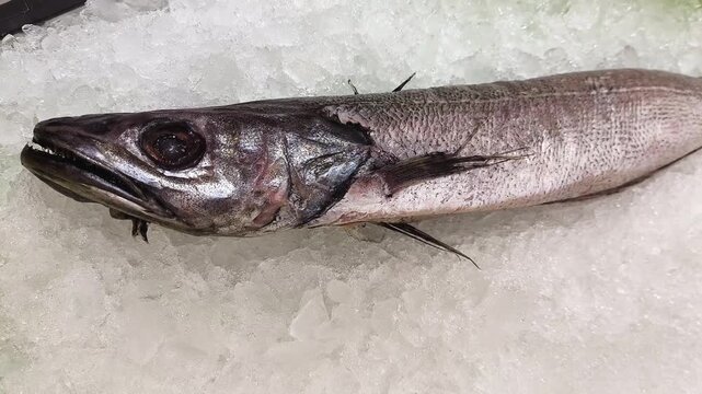 Pescadilla fresca en pescader&iacute;a 