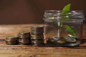 Glass jar with coins and sprout on wooden table, closeup