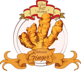 vector illustration of ginger label