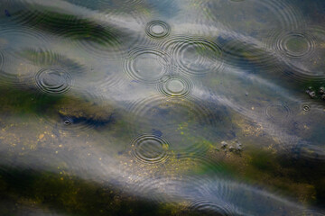 빗방울이 만든 파동