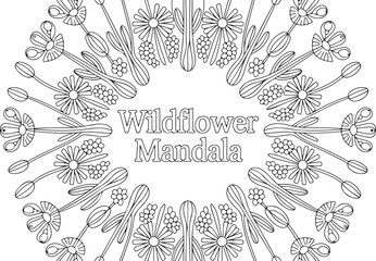 Floral Mandala Line Art – Blooming Flower Symmetry Design