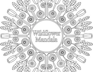 Floral Mandala Line Art – Blooming Flower Symmetry Design