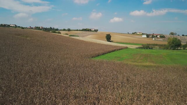 Aerial view, taken by a drone, of the hills, villages and vineyards of Monferrato Region. Monferrato is an hilly area in Piedmont Region (Northen Italy), world famous for wines making and UNESCO Site.