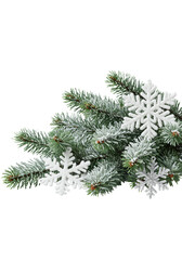 Pristine, snow-covered fir branches with green needles, elegant white and silver snowflake ornaments, isolated on seamless transparent studio background, concept of elegant holiday minimalism.