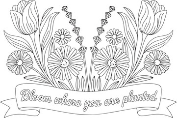 Floral Border Line Art with Tulips and Daisies – Botanical Decorative Design