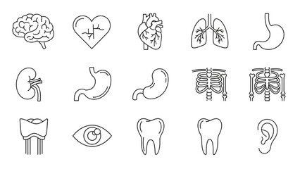 Explore the human body with these essential medical organ and skeletal system line art icons for educational and health content