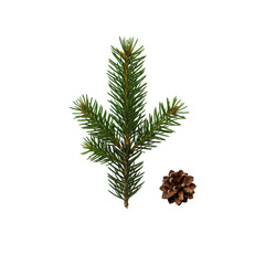 A lush green pine sprig with sharp needles and a miniature pine cone, elegantly arranged, top-down flat lay on a clean transparent background with bright studio lighting, concept of natural purity and