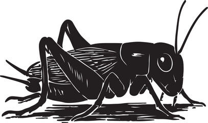 Detailed black and white woodcut style illustration of a cricket insect with intricate details and shadow © toomotion
