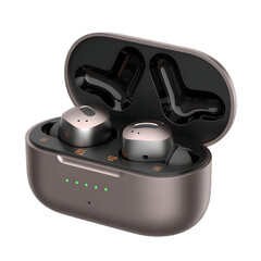 Open Charging Case with Wireless Earbuds description graphic