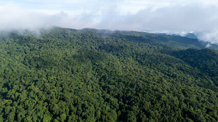 Obraz premium Aerial of Village in rain cloud cover tropical green mountain. Rainy season. Misty cover green forest. beautiful green village