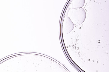 Cosmetic moisturizing gel or skin serum in a petri dish. Copy space