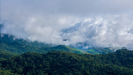 Obraz premium Aerial of Village in rain cloud cover tropical green mountain. Rainy season. Misty cover green forest. beautiful green village
