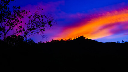 silhouette of trees and blue sky at sunset