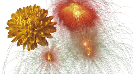 Yellow Chrysanthemum Flower With Red Green Fireworks Display On Black Background bloom blossom