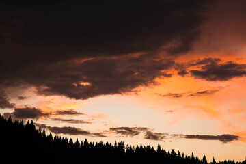 A summer skyscape. The sky is painted in warm shades of orange and pink. The silhouette of a forest can be seen below. A beautiful summer sunset landscape.
