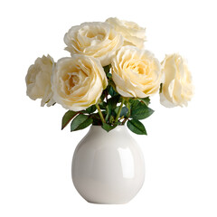 Cream roses in a white ceramic vase isolated on transparent background
