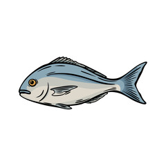 Whole fish engraving vector for Mediterranean cuisine ads