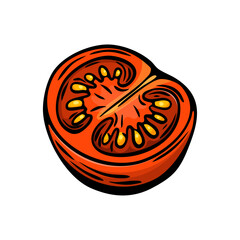 Tomato half engraving vector for Mediterranean food design
