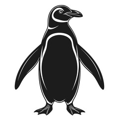 penguin vector illustration
