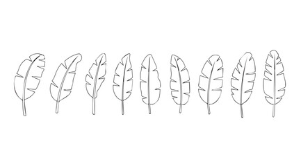 A collection of delicate feather silhouettes in a row