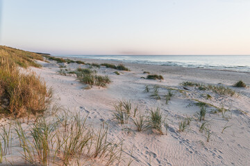 Tranquil Baltic Sea Dunes with Dune Grass at Golden Hour on a Sandy Beach Shoreline