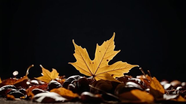 A single yellow leaf lying on top of a pile of nuts, great for autumn or nature themes