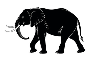 Fototapeta premium elephant isolated on white background