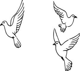 Fototapeta premium Elegant Dove Line Drawing 