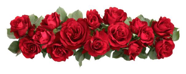 Elegant red roses floral arrangement home nature isolated on transparent background