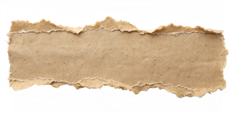 ripped torn paper edges isolated with clipping path on white background ,PNG. AI Generated