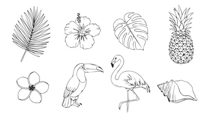 Watercolor tropical elements silhouette collection featuring birds and fruits