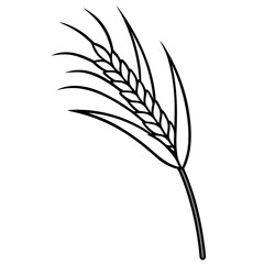 Organic paddy rice, ear of paddy  icon line airt vactor outline Illustrations on white background.