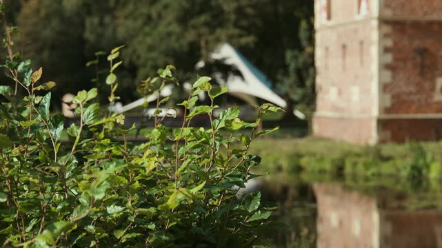 Artistic shot with leaves in sharp focus, while the castle, pond reflections, and a white wedding canopy appear softly in the background, surrounded by greenery.