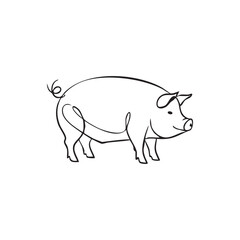 Fototapeta premium Minimalist line art of a pig with a curly tail on a white background swine animal