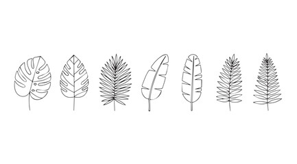 Collection of diverse feather silhouettes with delicate line art detail