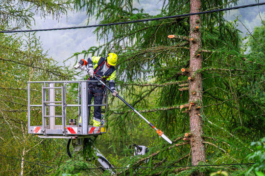 A man in a boom lift trims tree branches near a power line.